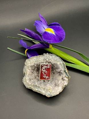 Obrázek Hranice pestrosti